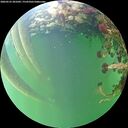 ./images/calvert/underwater/20260525/underwater20260525_201001M.jpg