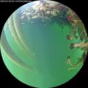 ./images/calvert/underwater/20260525/underwater20260525_201501M.jpg