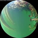 ./images/calvert/underwater/20260525/underwater20260525_202001M.jpg