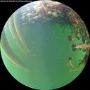 ./images/calvert/underwater/20260525/underwater20260525_202501M.jpg