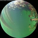 ./images/calvert/underwater/20260525/underwater20260525_203002M.jpg
