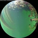 ./images/calvert/underwater/20260525/underwater20260525_203501M.jpg