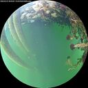 ./images/calvert/underwater/20260525/underwater20260525_204501M.jpg