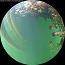 ./images/calvert/underwater/20260525/underwater20260525_205001M.jpg