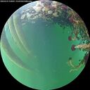 ./images/calvert/underwater/20260525/underwater20260525_210001M.jpg