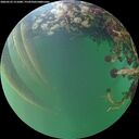 ./images/calvert/underwater/20260525/underwater20260525_211001M.jpg