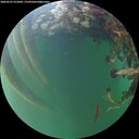 ./images/calvert/underwater/20260525/underwater20260525_212001M.jpg