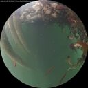 ./images/calvert/underwater/20260525/underwater20260525_213502M.jpg