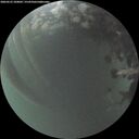 ./images/calvert/underwater/20260525/underwater20260525_220002M.jpg