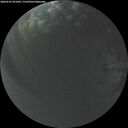 ./images/calvert/underwater/20260525/underwater20260525_221001M.jpg