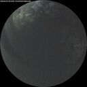 ./images/calvert/underwater/20260525/underwater20260525_221502M.jpg