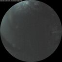 ./images/calvert/underwater/20260526/underwater20260526_044501M.jpg