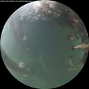 ./images/calvert/underwater/20260526/underwater20260526_051001M.jpg
