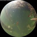 ./images/calvert/underwater/20260526/underwater20260526_054002M.jpg