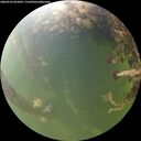 ./images/calvert/underwater/20260526/underwater20260526_055002M.jpg