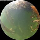 ./images/calvert/underwater/20260526/underwater20260526_060001M.jpg