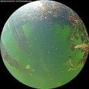 ./images/calvert/underwater/20260526/underwater20260526_065501M.jpg