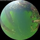 ./images/calvert/underwater/20260526/underwater20260526_070501M.jpg