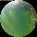 ./images/calvert/underwater/20260526/underwater20260526_071001M.jpg