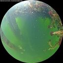 ./images/calvert/underwater/20260526/underwater20260526_072501M.jpg