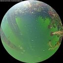 ./images/calvert/underwater/20260526/underwater20260526_073502M.jpg
