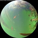 ./images/calvert/underwater/20260526/underwater20260526_114002M.jpg