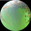 ./images/calvert/underwater/20260526/underwater20260526_123501M.jpg