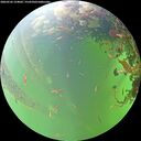 ./images/calvert/underwater/20260526/underwater20260526_124001M.jpg