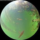 ./images/calvert/underwater/20260526/underwater20260526_125501M.jpg