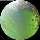 ./images/calvert/underwater/20260526/underwater20260526_131501M.jpg