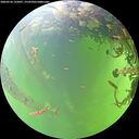 ./images/calvert/underwater/20260526/underwater20260526_132001M.jpg