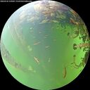 ./images/calvert/underwater/20260526/underwater20260526_133002M.jpg