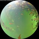 ./images/calvert/underwater/20260526/underwater20260526_133501M.jpg