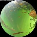 ./images/calvert/underwater/20260526/underwater20260526_134501M.jpg
