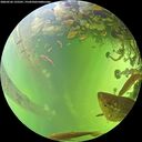 ./images/calvert/underwater/20260526/underwater20260526_135501M.jpg