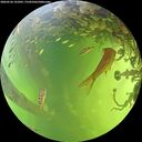 ./images/calvert/underwater/20260526/underwater20260526_141001M.jpg