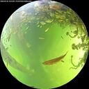 ./images/calvert/underwater/20260526/underwater20260526_141501M.jpg