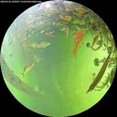 ./images/calvert/underwater/20260526/underwater20260526_142001M.jpg