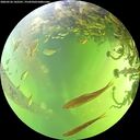 ./images/calvert/underwater/20260526/underwater20260526_142501M.jpg