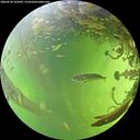 ./images/calvert/underwater/20260526/underwater20260526_143002M.jpg