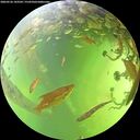 ./images/calvert/underwater/20260526/underwater20260526_143501M.jpg