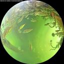 ./images/calvert/underwater/20260526/underwater20260526_144001M.jpg