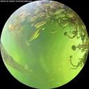 ./images/calvert/underwater/20260526/underwater20260526_144502M.jpg