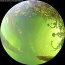 ./images/calvert/underwater/20260526/underwater20260526_145501M.jpg