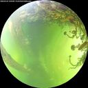 ./images/calvert/underwater/20260526/underwater20260526_150501M.jpg