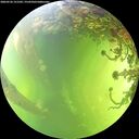 ./images/calvert/underwater/20260526/underwater20260526_151501M.jpg