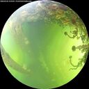 ./images/calvert/underwater/20260526/underwater20260526_152501M.jpg