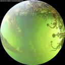 ./images/calvert/underwater/20260526/underwater20260526_153001M.jpg