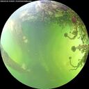 ./images/calvert/underwater/20260526/underwater20260526_155001M.jpg