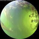 ./images/calvert/underwater/20260526/underwater20260526_161001M.jpg